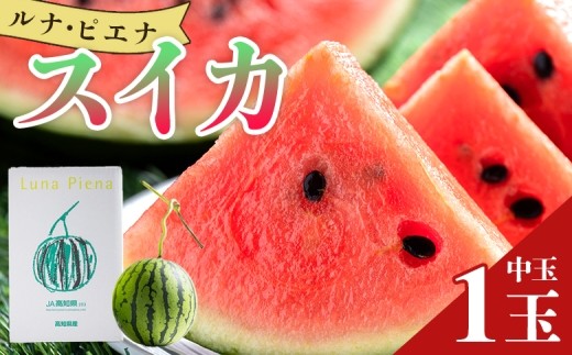 【先行予約】スイカ  1玉 【ブランドスイカ】 ルナ・ピエナスイカ 高糖度 中玉 せんこうよやく スイカ 西瓜 甘い 人気 スイカ2026 早い 空中立体栽培で太陽の愛情をたっぷり受けた 先行よやく ルナピエナ スイカ 贈り物 プレゼント のし 果物 フルーツ大好き 1万円以上 10000円以上 すいか 果実 秋 ｽｲｶ 西瓜 先行予約 yu-0045
