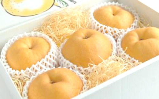 あたご梨約3kg(3~5玉)