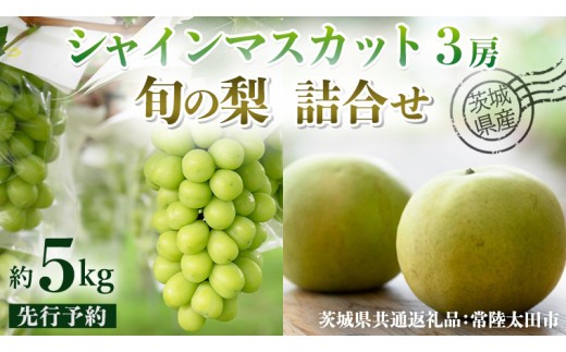 【 先行予約 】茨城県産 シャインマスカット3房と旬の梨詰め合わせ 約5kg ( 茨城県共通返礼品 : 常陸太田市 )【 2026年 9月中旬頃より発送 】 梨 ナシ なし 和梨 シャインマスカット フルーツ ぶどう 葡萄 ブドウ マスカット 果物  期間限定 数量限定