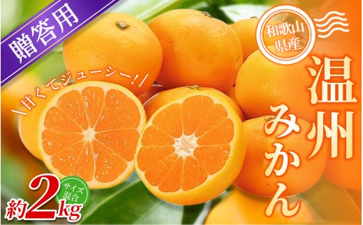 【贈答用】 森本農園の手選別 みかん 約2kg 和歌山県産 2S~2Lサイズ混合 【北海道・沖縄・離島配送不可】【2026年10月中旬～2027年2月中旬ごろに順次発送】【BV-mrmt091】