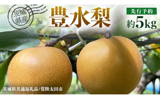 【 先行予約 】茨城県産 梨 豊水 約5kg 11玉～16玉 ( 茨城県共通返礼品 : 常陸太田市 )【 2026年 9月上旬頃より発送 】 フルーツ 果物 国産 日本産 梨 ナシ なし 和梨 期間限定 数量限定