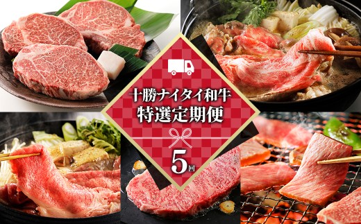 十勝ナイタイ和牛 特選 定期便 5回 5ヵ月定期便 国産 北海道 牛 肉 牛肉 和牛 5・4等級 黒毛和牛 オレイン酸含有率55%以上 焼肉 すき焼き ステーキ サーロイン ヒレ フィレ 肩ロース リブロース 冷凍 ［150-TN80］