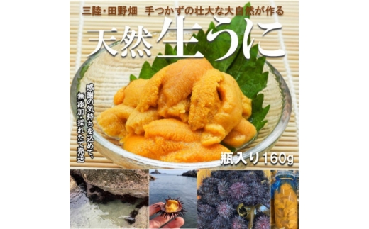 <予約・7月中旬発送>岩手・三陸 小さな村のきれいな海で育った 瓶入り 濃厚生うに(160g)【1657588】