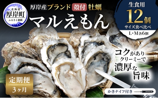 【 3ヵ月 定期便 】 厚岸産 ブランド 殻付カキ マルえもん 生食用 サイズ食べ比べ 12個 (L・M各6個)[ 魚貝類 生牡蠣 かき 牡蠣 カキ 生ガキ 食べ比べ ][№5863-1484]