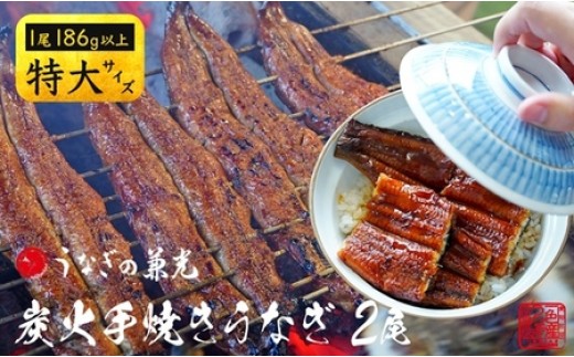 炭火手焼き 愛知県三河一色産　うなぎ蒲焼き　特大　2尾（1尾あたり186g以上） 国産うなぎ うなぎ ウナギ 鰻 鰻の蒲焼き 鰻の蒲焼 蒲焼 蒲焼き 土用 土用の丑の日 土用丑の日 丑の日 ・U037-17