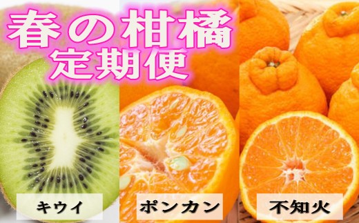 【1月・2月・3月発送】 和歌山の人気の春のフルーツをお届け！ （キウイ・ポンカン・不知火）定期便全3回【tkb431】