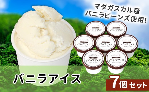 〈1週間以内発送〉マダガスカル産バニラビーンズ使用！バニラアイスクリーム 7個入り アイスクリーム 5000円 バニラアイス 定番 