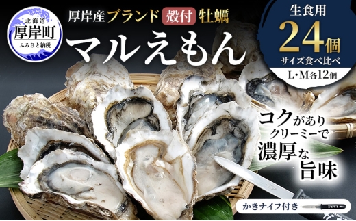 厚岸産 ブランド 殻付カキ マルえもん 生食用 サイズ食べ比べ 24個 (L・M各12個)[ 魚貝類 生牡蠣 かき 牡蠣 カキ 生ガキ 食べ比べ ][№5863-1475]
