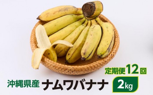 ナムワバナナ 2kg 定期便12回