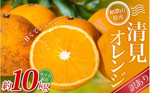 【訳あり】 森本農園の手選別 清見オレンジ 約10kg 和歌山県産 サイズ混合 【2026年2月上旬～6月上旬頃に順次発送】 清見 きよみ オレンジ 柑橘 期間限定 由良町 果物 フルーツ 和歌山県【mrmt025A】