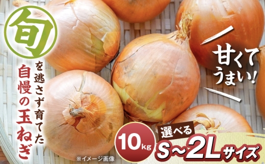 【先行予約】玉ねぎ10kg（Lサイズ） 滋賀県長浜市/柏本農園株式会社 [AQDZ011] 2612521 - 滋賀県長浜市