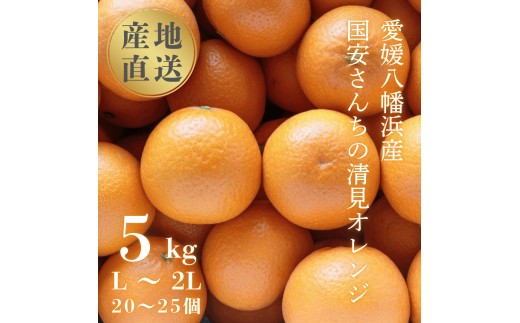【先行受付】＜まるで食べるジュース!越冬完熟品＞愛媛産 清見オレンジ 5kg＜D20-38＞【1594848】 YWTI033