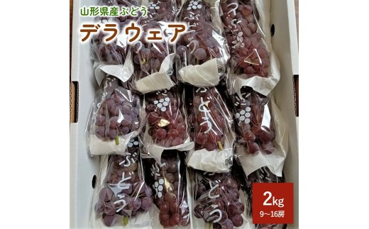 ぶどう（デラウェア）２ｋｇ　0142-2602 338585 - 山形県上山市