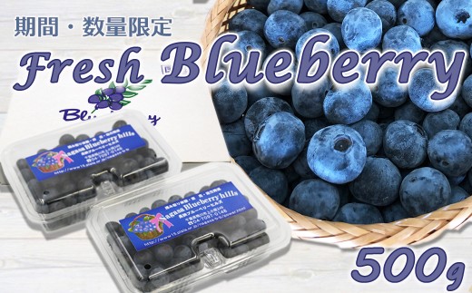 摘んだその日に直送。有機肥料だけで育てた、鴨川の生ブルーベリー。