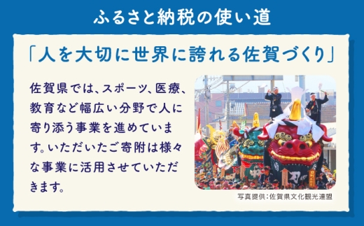 焼き物 有田焼 食器 贈答 新生活 磁器