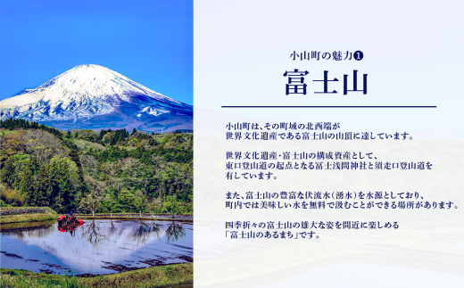 富士山の強炭酸水レモン 1L × 15本入