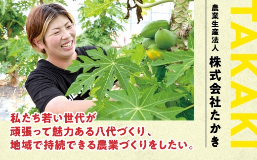 私たちの若い世代が頑張って魅了ある八代づくり、地域での持続できる農業づくりをしたい。