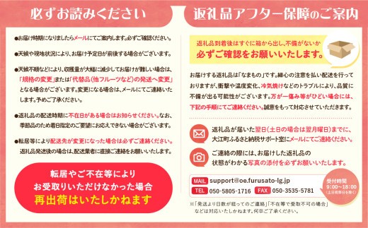 《先行受付》ラフランス 約3kg （7～11玉） 【2026年11月上旬頃～発送予定】【山形洋梨】