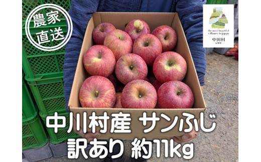 担当者おすすめ「味覚の里なかがわ」の旬のくだもの（サンふじ約11Kg りんご訳あり 不揃い バラ詰め 大容量10kg以上）