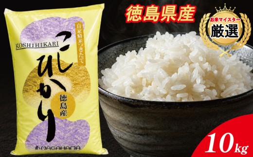 コシヒカリ 10kg 徳島県産 米 お米 国産 白飯 ご飯 精米 白米 こしひかり こめ コメ おこめ おむすび おにぎり 弁当 美味しい 徳島 令和7年産