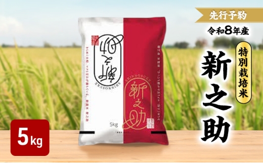 先行予約 令和8年 新潟県産新之助 特別栽培米 5kg 5キロ 上越市 三和区神田 富永農産 有機肥料 自家製たい肥