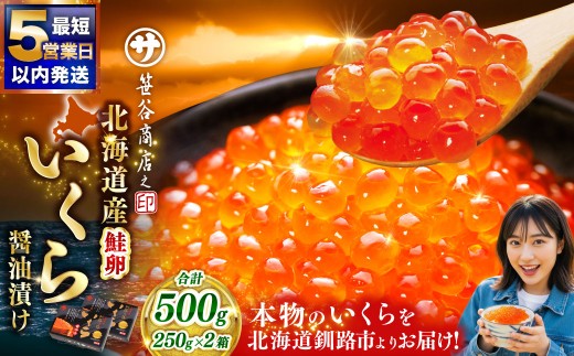 【5営業日以内発送】笹谷商店 新物 北海道産いくらしょう油漬250g×2箱 ふるさと納税 いくら F7F-9689