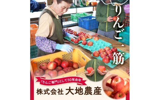 《先行受付》【2027年3月発送予定】 最高級 特選大玉サンふじ約3kg【大江町産・山形りんご・大地農産】