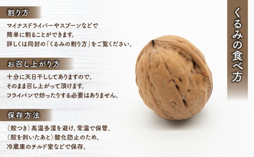 殻つきくるみ約1.4kg(2026年収穫分)|JA信州うえだ東部地区営農課 殻つきくるみ約1.4kg(2026年収穫分)|JA信州うえだ東部地区営農課