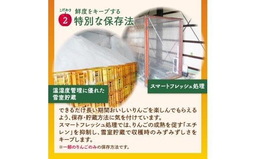 《先行受付》【2027年3月発送予定】 最高級 特選大玉サンふじ約3kg【大江町産・山形りんご・大地農産】