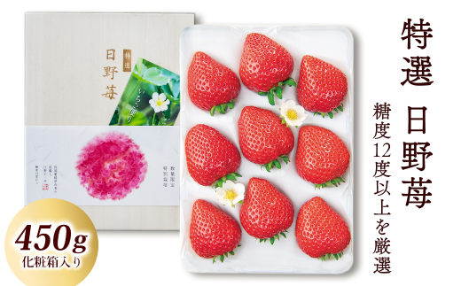 【先行予約】 いちご 特選　日野苺（約450g）～糖度12度以上を厳選～ 化粧箱  愛媛県西条市産 【11月下旬～2027年2月発送】 ｜ いちご 苺 完熟 農家直送 産地直送 果物 くだもの フルーツ 野菜 いちご イチゴ 愛媛県産 おすすめ 人気 お取り寄せ 送料無料 贈答 ギフト ひのいちご園