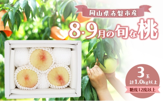 桃 2026年 数量限定 岡山の白桃 『8・9月の旬な桃』 3玉 計1.0kg以上 糖度12度以上