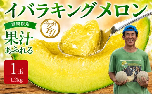 【来年2026年】先行予約！ジューシーな果汁たっぷりメロン ＼生産量日本一の実力！／ 旬の イバラキング メロン 10000円 以下 茨城県 鉾田市産 めろん 1.2kg以上×1玉｜方波見農園 《安心安全栽培》上品な甘さ 絶品 産地直送 青肉 高級 おすすめ 人気 BMW農法 ジューシー 旬 大きい 甘い 国産 フルーツ 果物 ギフト プレゼント 贈り物