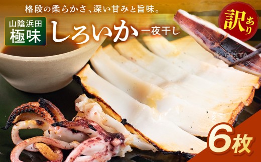 山陰浜田極味 訳あり シロイカ（ケンサキイカ）一夜干し 6枚 一夜干し 干物 ひもの いか 剣先いか 真いか 白いか 真空 冷凍 干物 【164_1835】