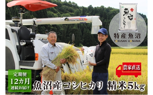 [№5762-0769]農家直送！魚沼産コシヒカリ 精米5kg 12ヶ月連続お届け