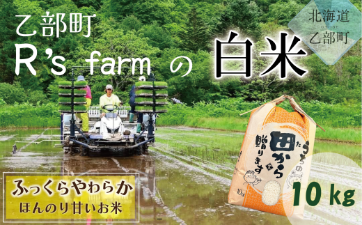 ＜北海道の米(10kg)～ふっくらつややか！若手農家が作る米～＞米 国産米 北海道 道産 道産米