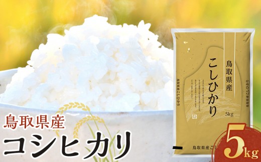 【令和7年産】【食味鑑定士厳選】 鳥取県産 コシヒカリ5kg (5kg×1袋)【 米 お米 こめ 白米 こしひかり ご飯 ごはん 白ごはん 白ご飯 鳥取県 北栄町 おすすめ 人気 2025年産 令和7年 厳選 国産 送料無料】