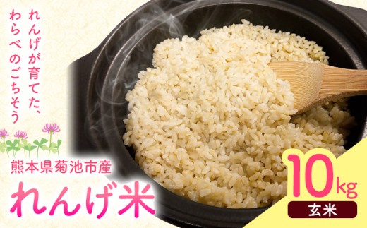 熊本県菊池市産のれんげ米 10kg 《30日以内に出荷予定(土日祝除く)》 精米方法 玄米 お米 レンゲ米 熊本県産 九州産 送料無料