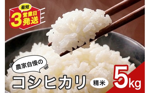 米 5kg 精米 白米 お米 こめ コメ コシヒカリ こしひかり ギフト プレゼント 5キロ おこめ ごはん ご飯 八百津町 岐阜県 Y046-001