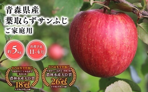 2026年産１１月～4月発送　【訳あり】家庭用葉とらずサンふじ5kg【青森県 平川市 そと川りんご園】