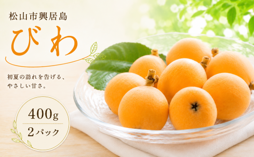 【2026年5月下旬頃から発送】 びわ 約400g × 2パック入り 松山市興居島産 | びわ 旬 愛媛 フルーツ 愛媛県 松山市