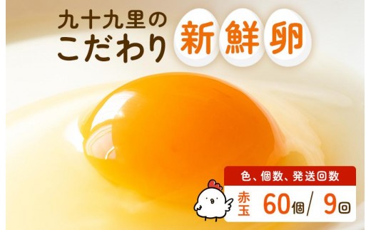 【定期便9回】九十九里ファームこだわりたまご贈答用 60個 ~あおい海・みどりの里~《赤玉》 たまご 卵 玉子 タマゴ 赤玉 卵かけご飯 新鮮 旨み 甘み 贈答用 贈答 ギフト 贈り物 千葉県 匝瑳市