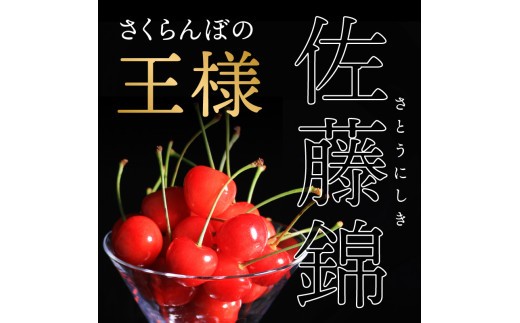 《先行受付》さくらんぼ 佐藤錦 500g 特秀品 Lサイズ 化粧箱入【2026年6月中旬頃~発送予定】【山形県産さくらんぼ】