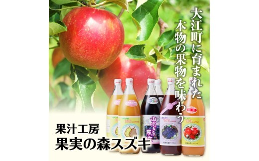 大江の恵 山ぶどう原液500ml紅玉・ふじ1Lジュースセット