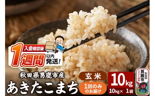 令和7年産 あきたこまち 玄米 10kg（10kg×1袋） 吉運商店 秋田県 男鹿市 お米 お弁当 おにぎり