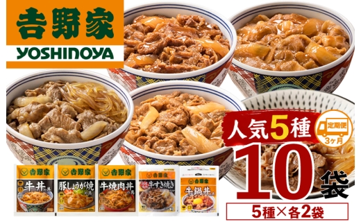 【定期便 ３ヶ月】吉野家 人気５種１０袋セット（冷凍）