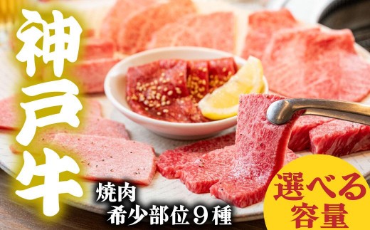 神戸牛 希少部位食べ比べ9種 マルシン ヒウチ 亀の甲 バラ 三角バラ サーロイン イチボ ラムシン 内モモ 720g 1440g 2160g 選べる容量