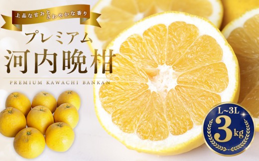  プレミアム 河内晩柑 3kg L から 3L 優品 贈答用 樹齢 20年 以上 古木 厳選 大玉 果実 特選 直送 和製 グレープフルーツ 愛南ゴールド フルーツ 人気 柑橘 爽やか 甘み ジューシー 果汁 旬の果物 くだもの みかん 産地直送 農園直送 春 味覚 初夏 デザート ジュース おすすめ 生搾り デザート ゼリー 愛媛県 愛南町 清家ばんかんビレッジ