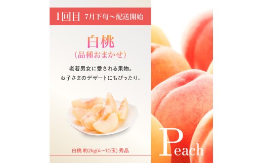 ≪先行受付≫ 山形豊作フルーツ人気B【定期便全3回】