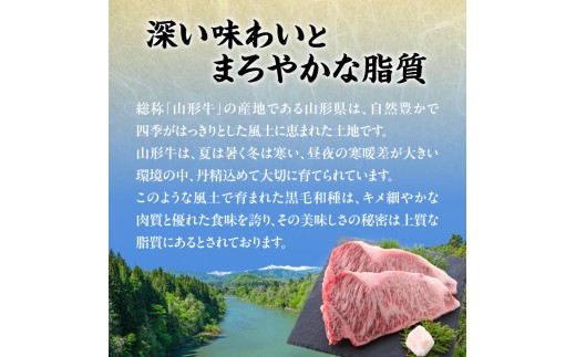 山形牛ひれステーキ 150gx3 【肉の小林】