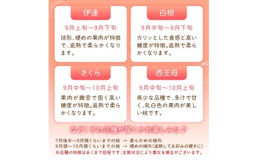 ≪先行受付≫ froSchがお届けするおまかせ白桃 約3kg 【2026年7月下旬より順次発送予定】